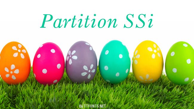 Partition SSi example